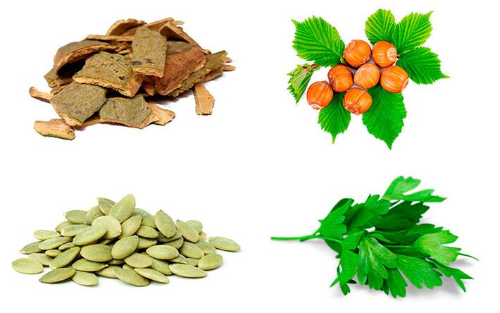 Λαϊκές θεραπείες για προστατίτιδα, φλοιός λεύκης, κολοκυθόσποροι, μαϊντανός και φουντούκια